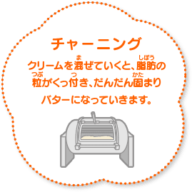 チャーニング クリームを混ぜていくと、脂肪の粒がくっ付き、だんだん固まりバターになっていきます。