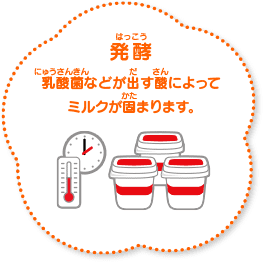 発酵 乳酸菌などが出す酸によってミルクが固まります。