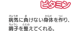 ビタミン　病気に負けない身体を作り、調子を整えてくれる。