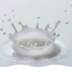 オンライン ミルクセミナー（無料）牛乳の日・牛乳月間スペシャル “ミルクで、もっとおいしく！もっと元気に！”を開催します。抽選で20名様に「北海道牛乳」等の詰合せをプレゼント 2022年6月4日（土）14:00～ ライブ配信 （見逃し配信あり）