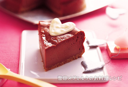 チョコレートチーズケーキ 雪印メグミルクのお料理レシピ