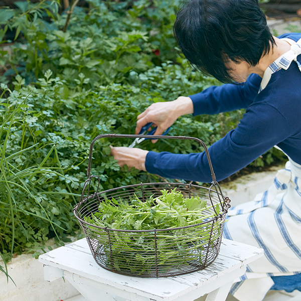 好きな種類を少しずつ植えるキッチンガーデンがとても楽しい 栗原はるみのミルクのある生活 雪印メグミルク