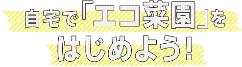 自宅で『エコ菜園』をはじめよう！