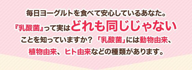 毎日ヨーグルトを食べて安心しているあなた。『乳酸菌』って実はどれも同じじゃないことを知っていますか？「乳酸菌」には動物由来、植物由来、ヒト由来などの種類があります。