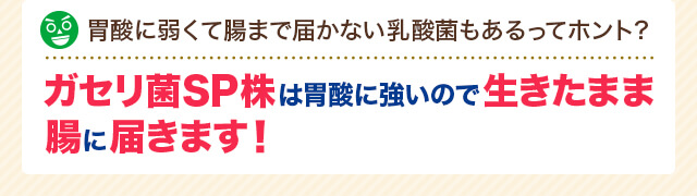 胃酸に弱くて腸まで届かない乳酸菌もあるってホント？ガセリ菌SP株は胃酸に強いので生きたまま腸に届きます！