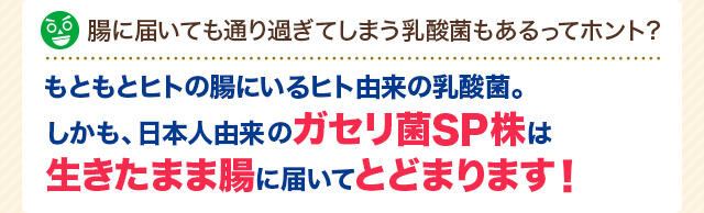 腸に届いても通り過ぎてしまう乳酸菌もあるってホント？もともとヒトの腸にいるヒト由来の乳酸菌。しかも、日本人由来のガセリ菌SP株は生きたまま腸に届いてとどまります！