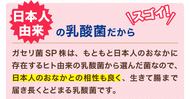 日本人由来の乳酸菌だからスゴイ！ガセリ菌SP株は、もともと日本人のおなかに住んでいるヒト由来の乳酸菌から選んだ菌なので、日本人のおなかとの相性も良く、生きて腸まで届き長くとどまる乳酸菌です。