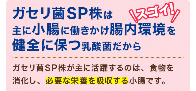 ガセリ菌SP株は主に小腸に働きかけ腸内環境を健全に保つ乳酸菌だからスゴイ！ ガセリ菌が主に活躍するのは、食物を消化し、必要な栄養を吸収する小腸です。