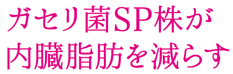 ガセリ菌SP株が内蔵脂肪を減らす