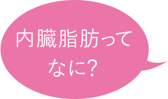 内臓脂肪ってなに？